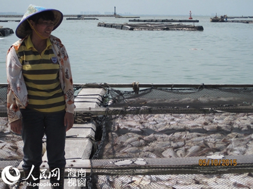 欲哭无泪的养殖户