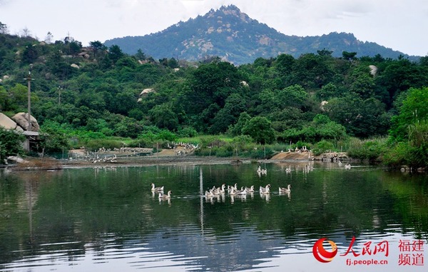 南安市和铺村的“古海蚀”石头遍布山间，远看怪石林立，近看“古海蚀”特征明显，构成独特的山水景观。  吴隆重 摄