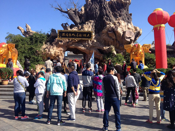 大槐树景区内人流涌动 临汾洪洞大槐树景区将旅游休闲与景区独有的移民文化、根祖文化和大槐树祭祖习俗相结合,推出了《大槐树移民》实景表演,连同全新编排的《苏三路过大槐树》在十一黄金周期间景区每天都定时演出,几乎场场爆满。 太原晋祠举办了第十二届太原晋祠菊花文化节,展出了一万平方米的各色菊花,盛装迎客,另外还为游客献上文艺演出,包括以晋祠为主题的仕女服饰展示,夸晋祠歌舞表演、水母娘娘传说的话剧表演等;太原市的碑林公园推出第六届丹枫秋韵碑林文化节大餐,包括秋之韵书画作品展、第三届美丽