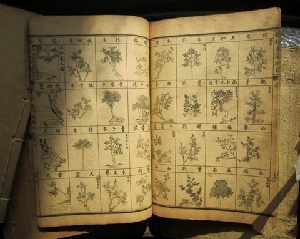 《本草纲目》改进了中国传统的分类方法，格式比较统一，叙述也比较科学和精密。