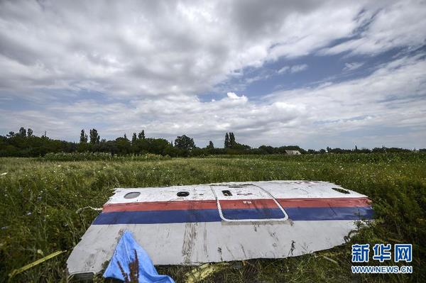 探寻马航mh17空难真相(高清组图)