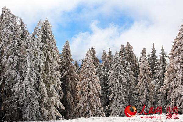 芦芽山雪景 （曹建国 梁海宏 摄）