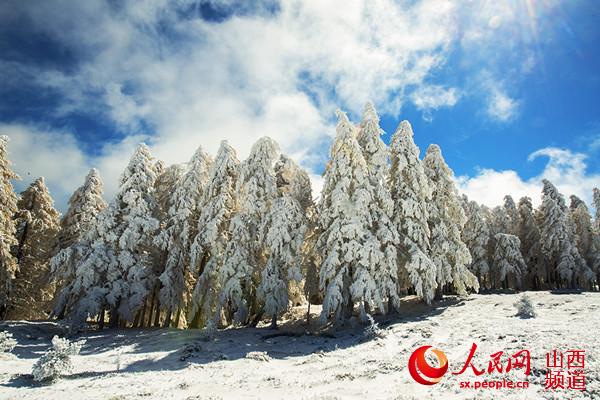 芦芽山雪景 （曹建国 梁海宏 摄）