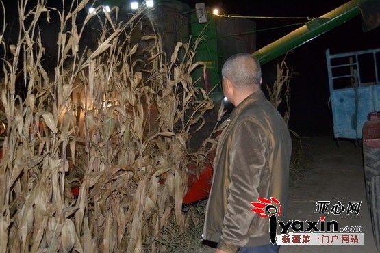 陈祖斌看着收割机开收