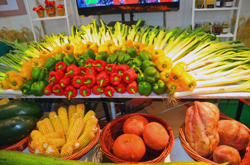 中俄农产品展销会在沈阳启幕|农产品|盆景