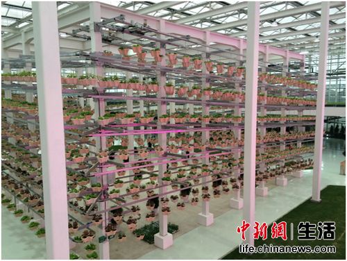 引领农业科技倡导健康生活 中粮智慧农场正式