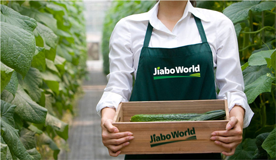 嘉博沃德商城专做有机健康食品 符合检测标准