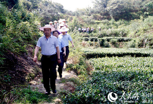 寿宁县委书记黄国璋（前一）下乡调研。资料图。