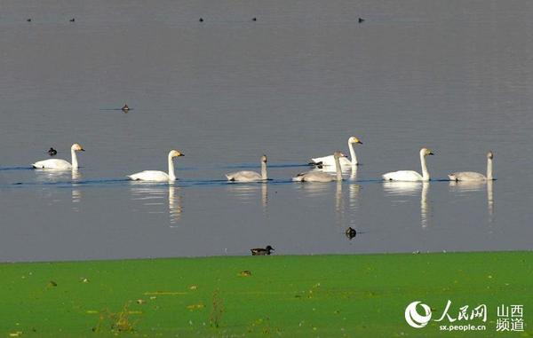 （图说中国 王与东摄）