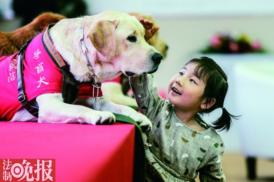 什么家什么犬成语_成语故事图片(2)