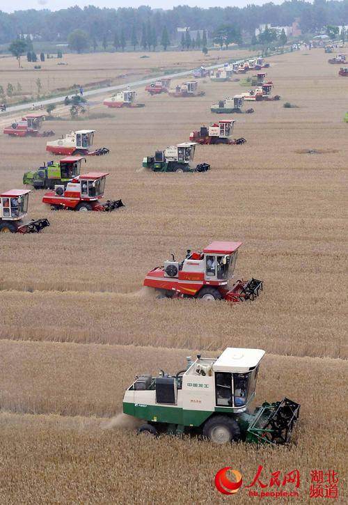 】湖北农业生产迈向机械作业为主阶段 农机购