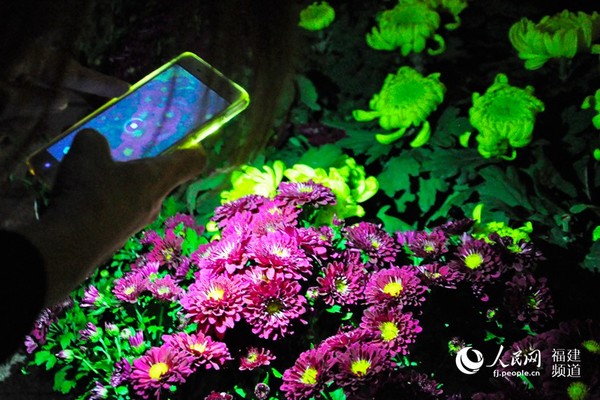 刷屏留恋处。  吴隆重 摄