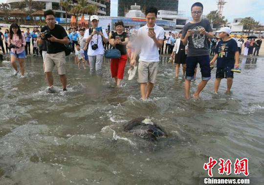 惠东县人口有多少人口_惠东县有什么大型商场