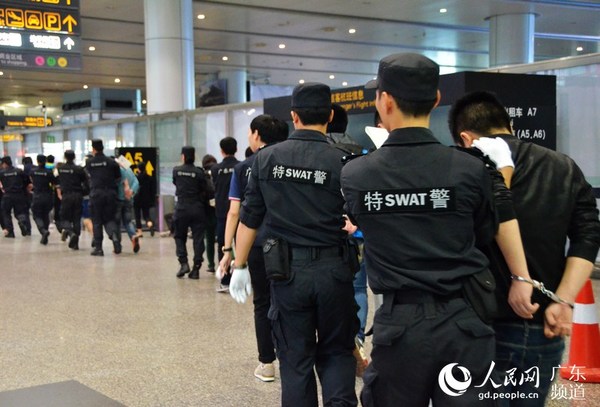 广东警方押送犯罪嫌疑人团伙迅速通过机场通道。林龙勇 摄