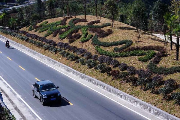 图为景观带已成为国道上的一景时的情景