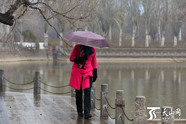 　　上午11点45分，人民公园，降落的小雨变为小冰碴子，一位市民打着伞看湖水。