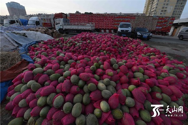 11月22日,在新疆库尔勒市巴音水果批发市场,堆满的吐鲁番的晚熟甜瓜。