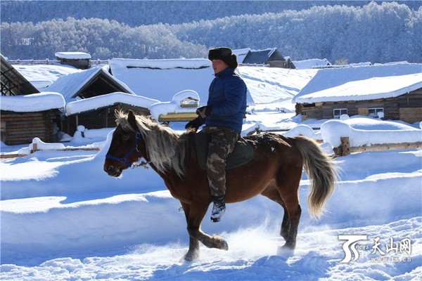 11月22日拍摄的禾木村的牧民正骑着马在雪中前行。