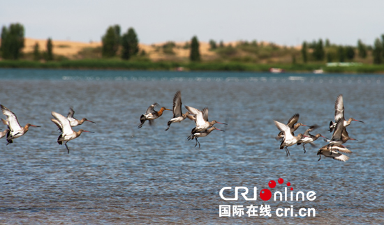 如今的库布其沙漠