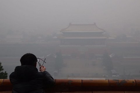 新京报记者 李飞 摄