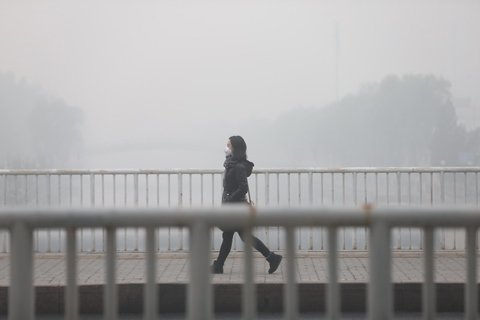 新京报记者 周岗峰 摄