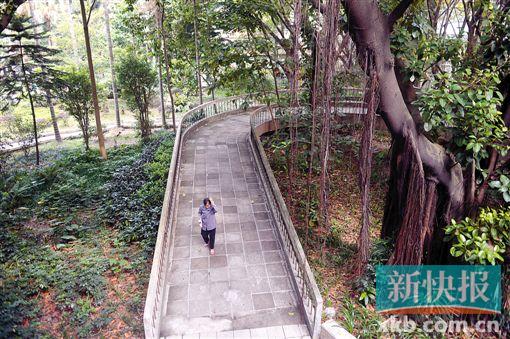 ■旋转坡道的设计集中体现了周边式布局中间花园周边楼房和二层步行系统的空间特质。