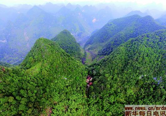 ▲这是广西大化瑶族自治县板升乡八好村两户深处大山的人家(11月3日摄)。