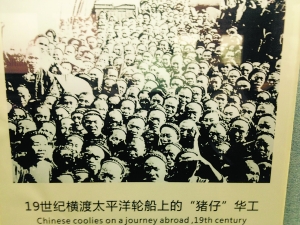 19世纪太平洋轮渡上的“猪仔”华工,船上拥挤简陋。(资料图片)