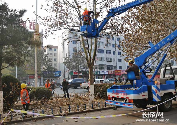 秦皇岛冬日树木修剪掀城市绿化热|树木|园林绿