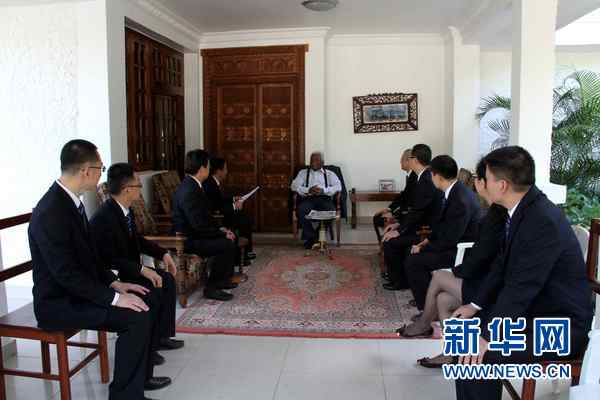 第24批援助坦桑尼亚医疗队达累斯萨拉姆分队队员与姆维尼交谈。新华社发