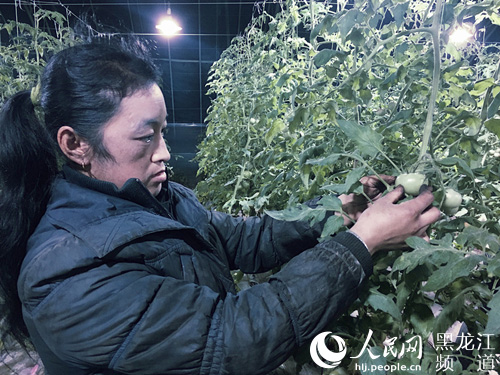 通江乡东红村村民赵手梅在果蔬基地忙碌着。杨海全 摄