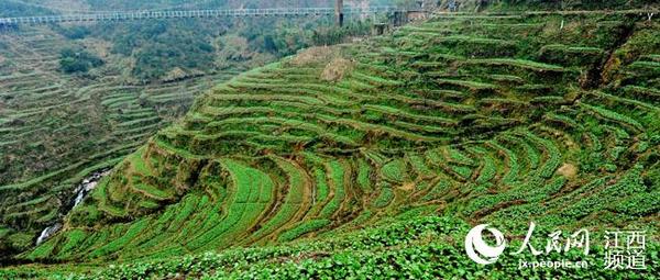 12月20日，江西省婺源县篁岭万亩梯田美景如诗如画