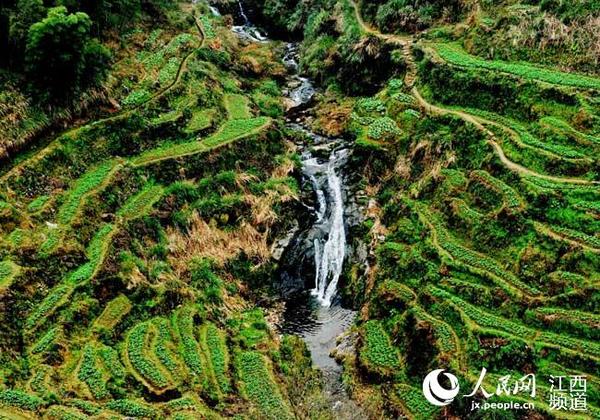 12月20日，江西省婺源县篁岭万亩梯田美景如诗如画