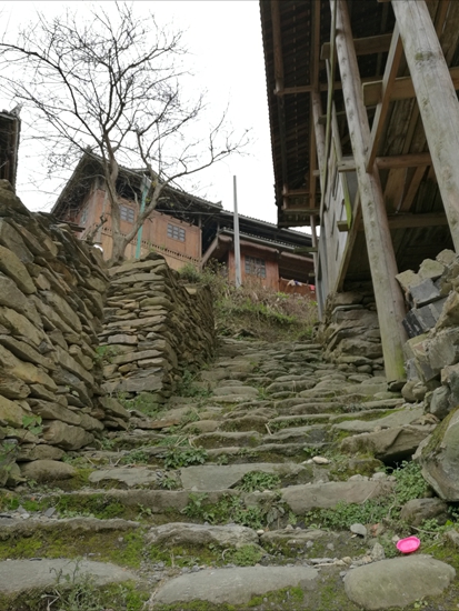 布满青苔的石板路