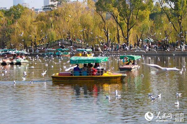22日，昆明阳光明媚，游客乘坐小船游览翠湖。（人民网 李发兴 摄）