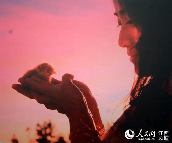 十大最美麻鸡图片