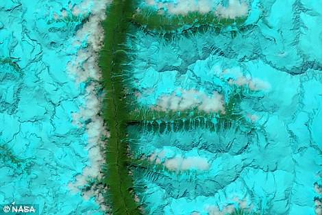 　　F：Landsat8卫星成像仪拍摄的中国西部雪山及山谷的伪色图↑