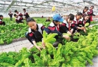 农业银行收入证明模板_农民农业收入