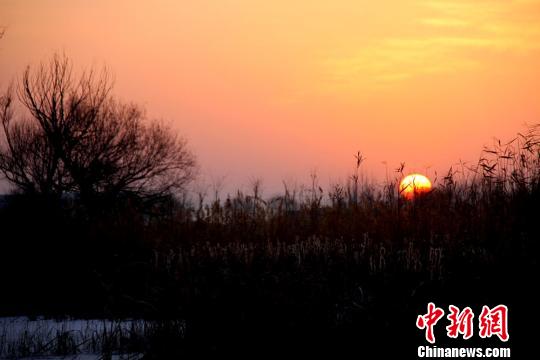 图为张掖国家湿地公园朝阳初升，映红半边天。　陈礼　摄