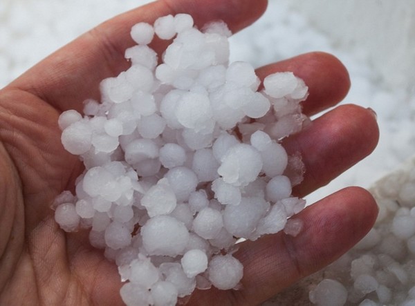 普利茅斯市民在手中展示降下的冰雹（网页截图）