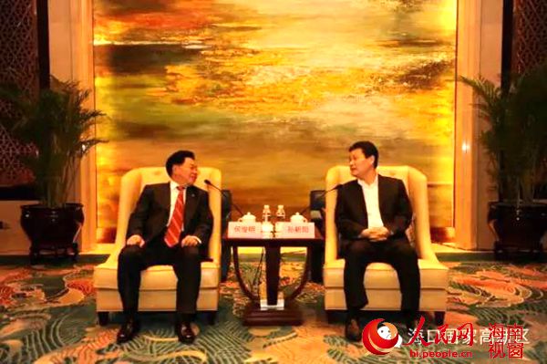 孙新阳会见何俊明