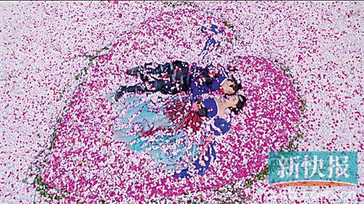 ■张芃芃与齐晟相拥在花海中死去。