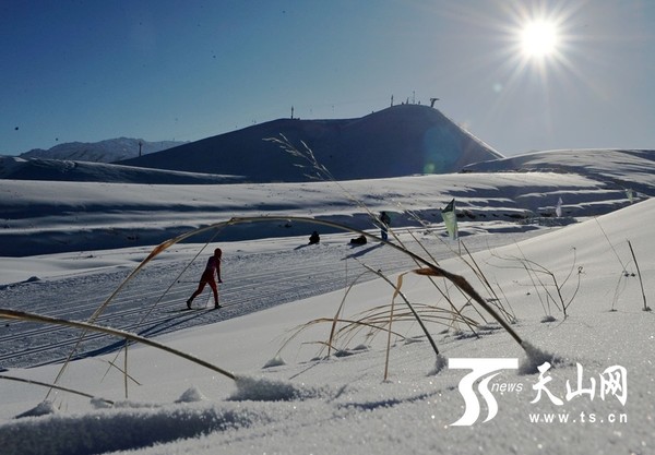 越野滑雪,运动员在比赛中。