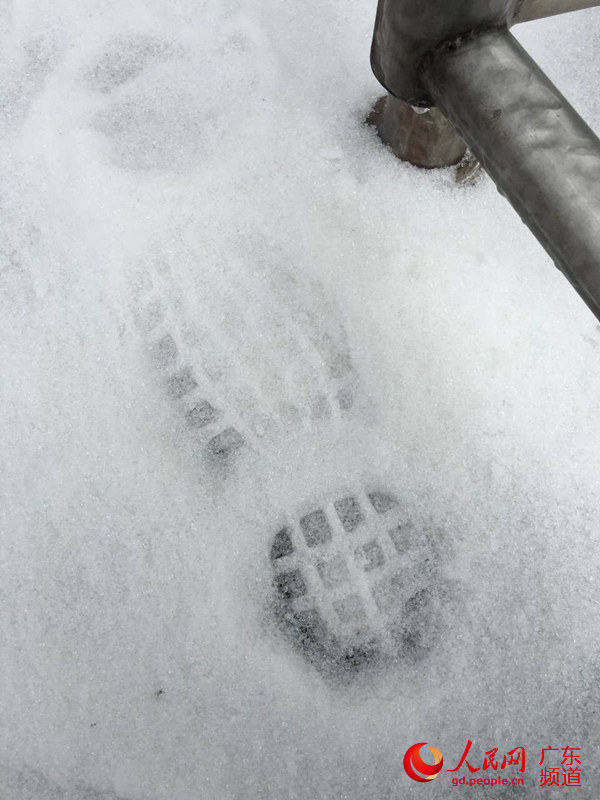 广州塔上,踏雪留痕。广州塔 供图