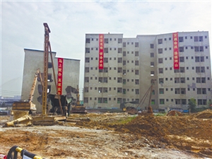 民生优先打通服务群众最后一公里|坪山|城市