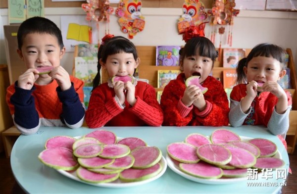 2月3日，石家庄市新华区淘宝贝南海幼儿园的小朋友吃生萝卜“咬春”。