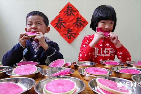 2月3日，河北省邯郸县一幼儿园的儿童在吃萝卜“咬春”。