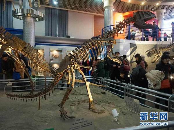 　　展厅里陈列着完整的恐龙化石 新华网 姜俊吉 摄
