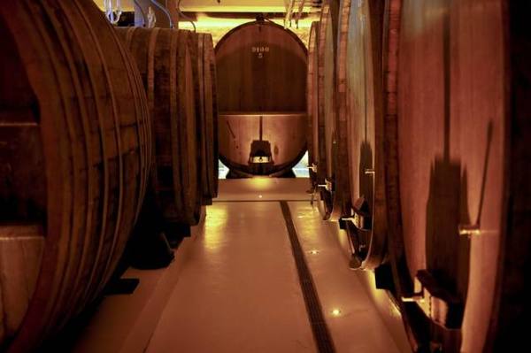 　　↑这是约瑟夫·卡坦酒庄的的传统橡木酿酒桶（摄于2月13日）。