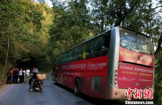 图为野象攻击了这辆坐满游客的大巴车 常宗波 摄